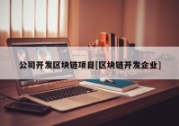 公司开发区块链项目[区块链开发企业]